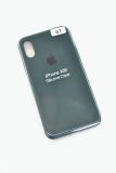 Чехол iPhone X/XS Silicon Case original FULL №67 moss green (4you)