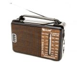 Радіоприймач Golon RX-A608ACW (гарантія 1 міс.)