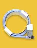 Usb-cable iPhone 5 4you High Quality White 2M (5 ic, iron shell)