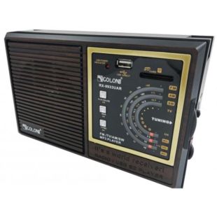 Радіоприймач Golon RX-9933UAR (USB + SD)