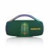 Портативная колонка HOPESTAR H62 70W Green