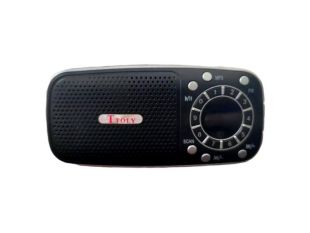 Портативна колонка TO-205 (usb+SD+FM) black/silver