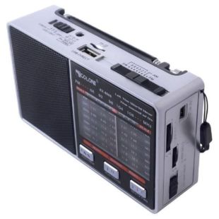 Радиоприемник Golon RX-8866 (USB+SD, фонарик) Silver