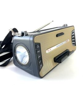 Радіоприймач Golon RX-S2618BTS (Bluetooth, USB, microSD. Сонячна батарея, ліхтарик) Gold