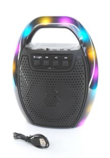 Портативна колонка ESS-109B (USB+SD+Bluetooth+FM+дисплей+адаптер від мережі+1-динамік) Black