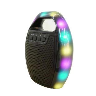 Портативная колонка ESS-109B (USB+SD+Bluetooth+FM+дисплей+адаптер от сети+1-динамик) Black