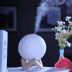 Увлажнитель воздуха  EQGJ-07(159) (ночник, 2 режима, 13см, 3D, подстветка, 880мл, USB-DS-5V)