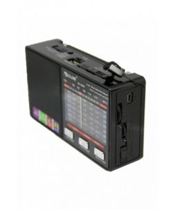 Радиоприемник Golon RX-8866 (USB+SD, фонарик) Black