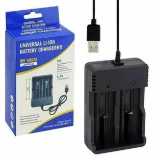 Зарядное для Li-Ion MS-5D82A (для 2х18650 и др.), 2А